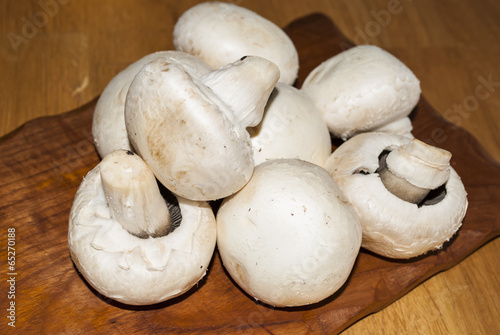 8 Mushrooms