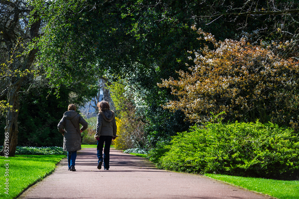 female friends taking a walk in park on a sunny spring day female friends taking a walk in park on a sunny spring day