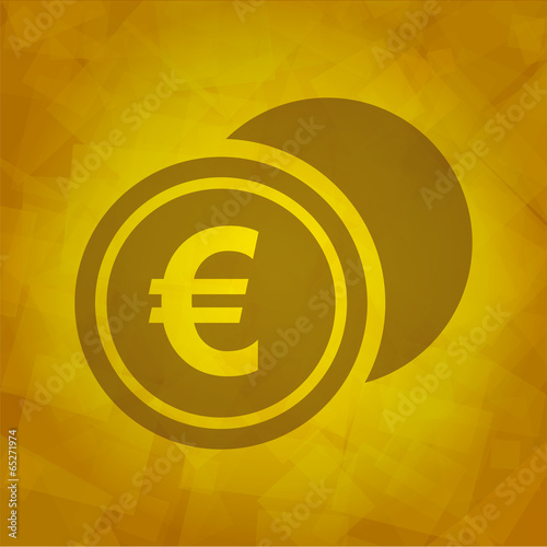 Euro Icon