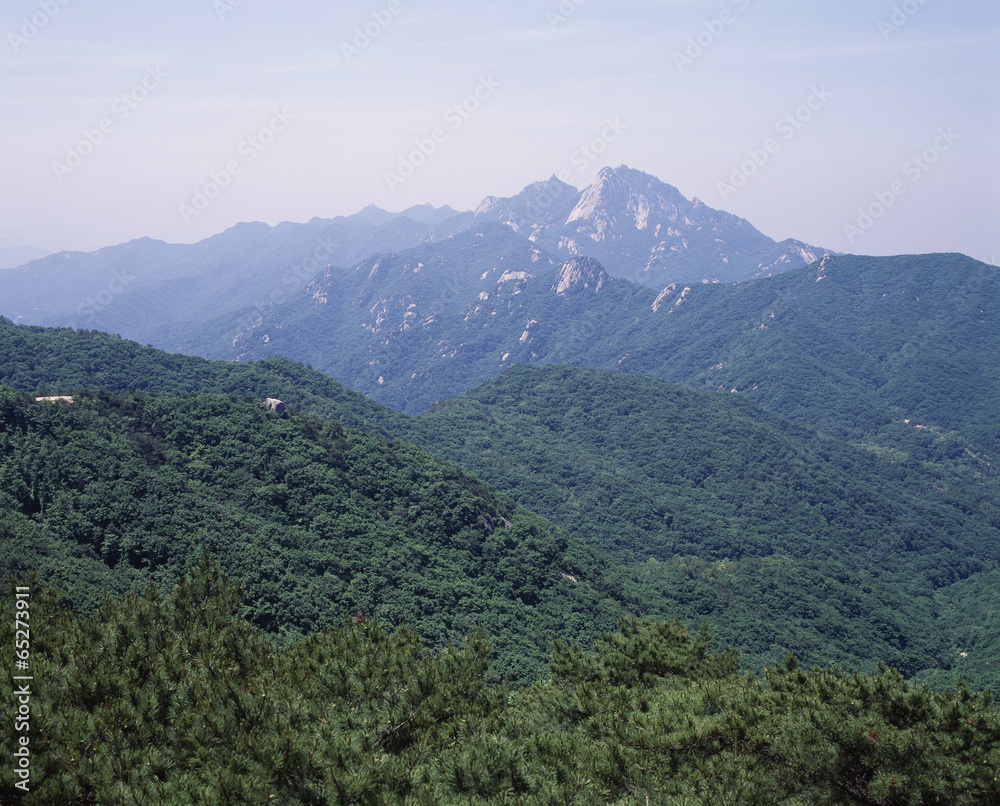 Naklejka premium The image of beautiful scenery