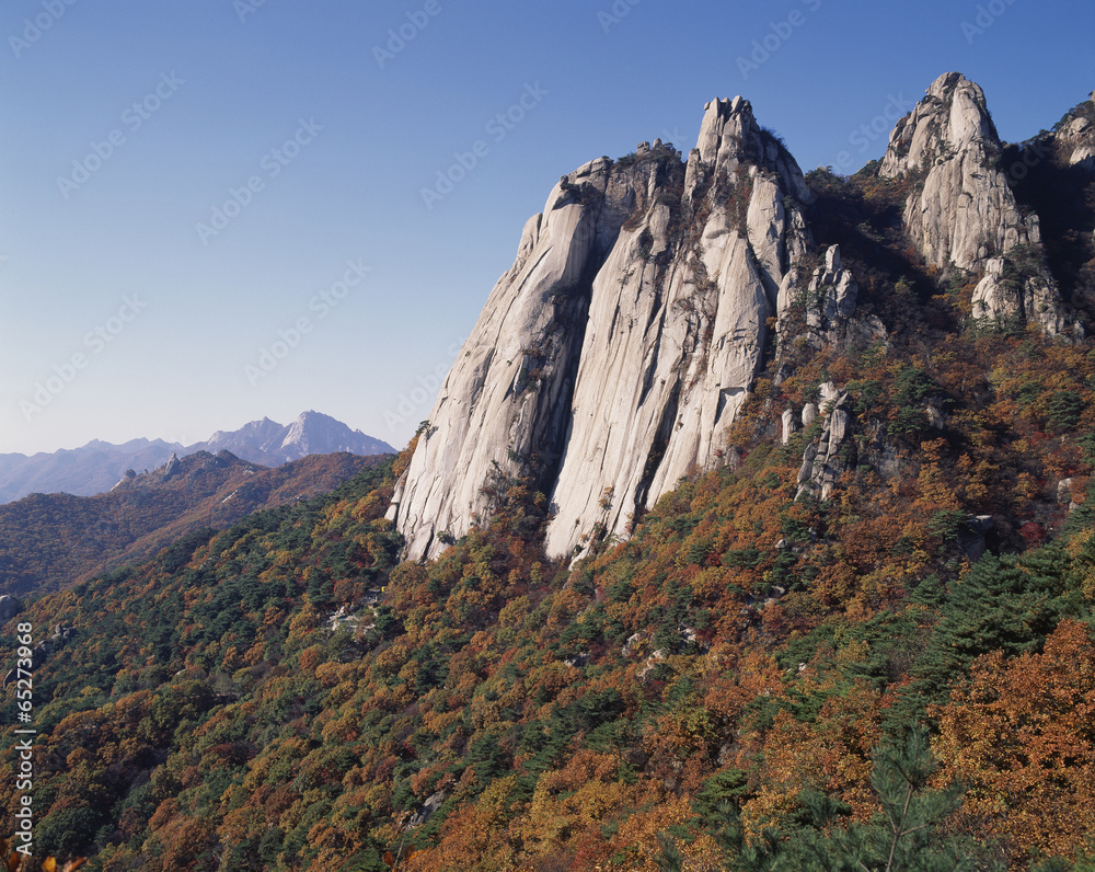 Fototapeta premium The image of beautiful scenery