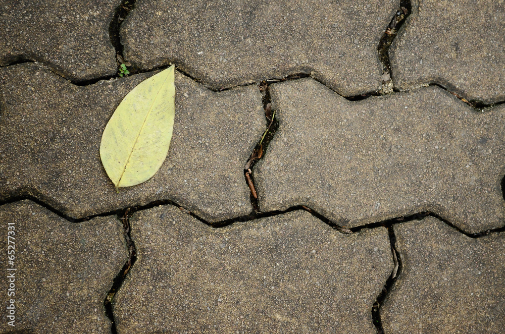 Obraz premium leaf on floor