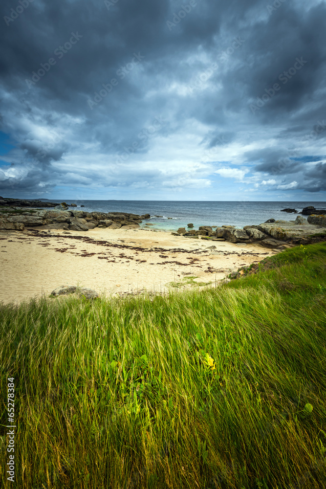 Coast in gray and green Coast in gray and green