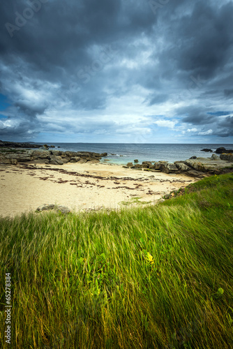 Coast in gray and green