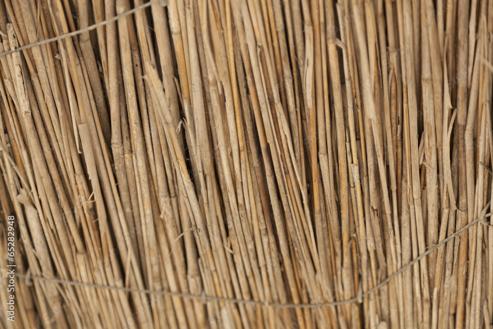 Texture beach umbrella Texture beach umbrella