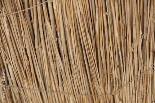 Texture beach umbrella