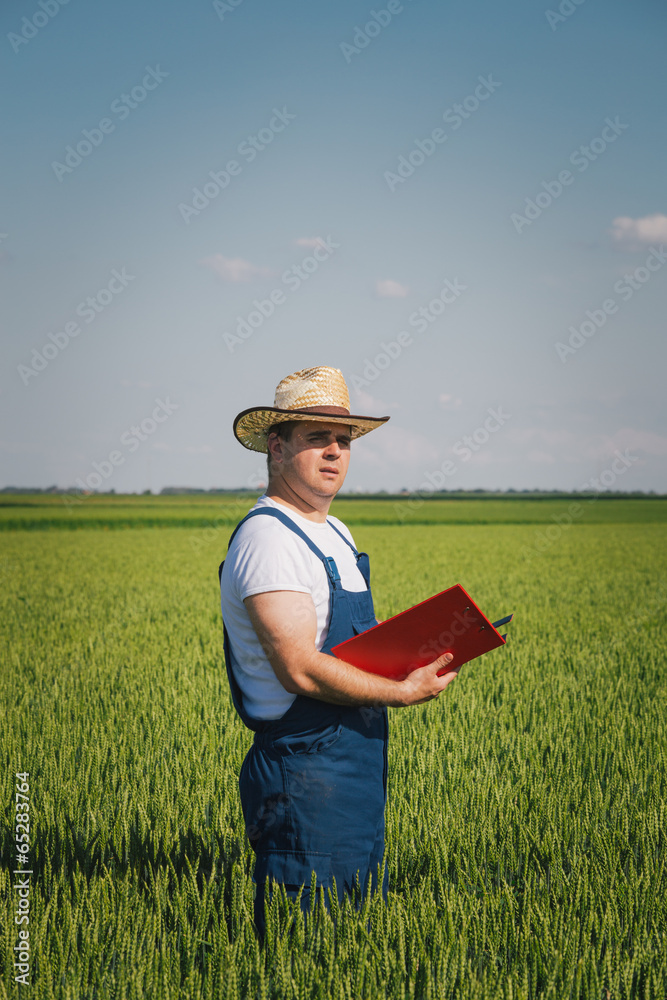 Farmer in field