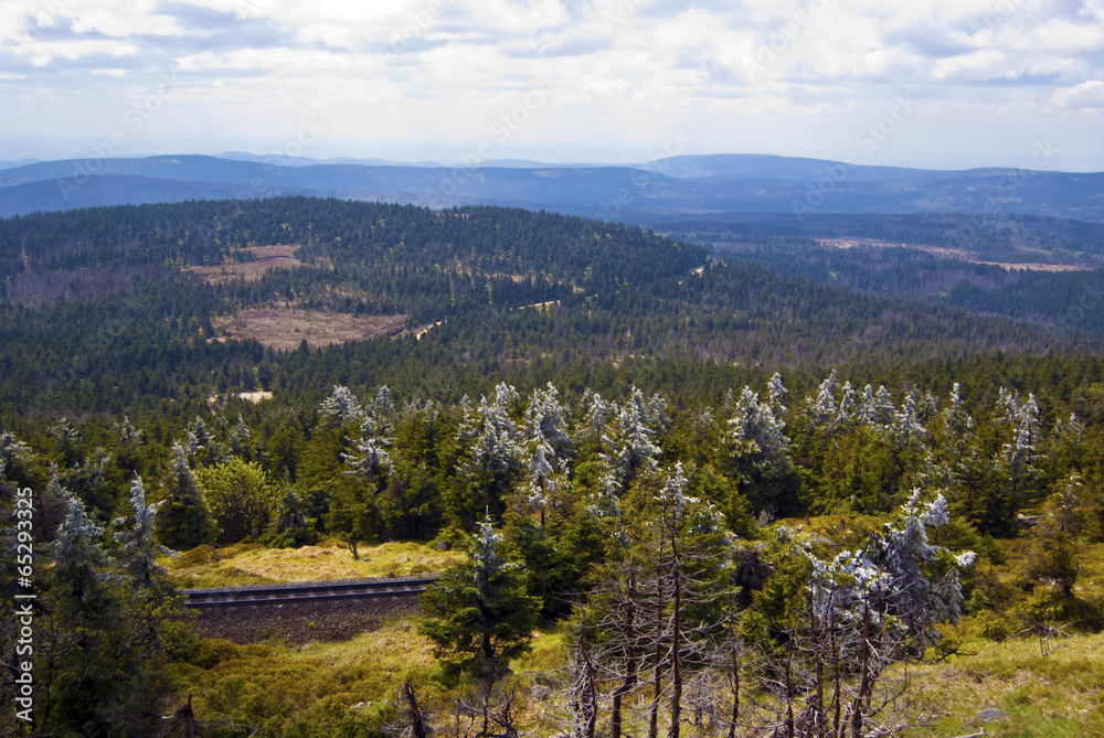Fototapeta premium Harz Wald Schiene