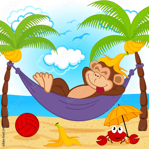 monkey on hammock  - vector illustration  eps
