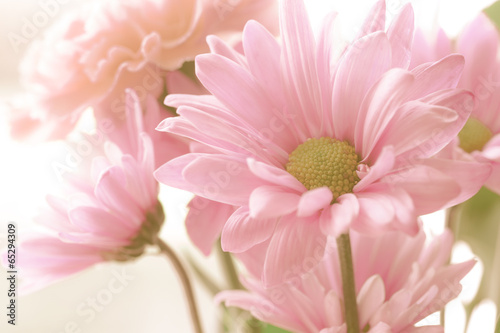 Fototapeta Naklejka Na Ścianę i Meble -  Soft tone floral bouquet