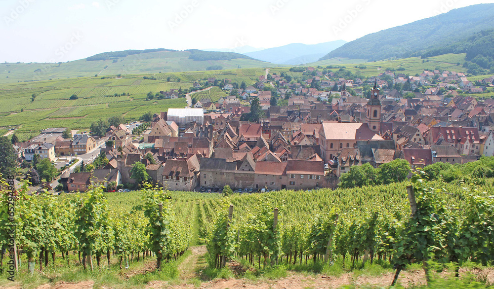 Alsace Riquewhir