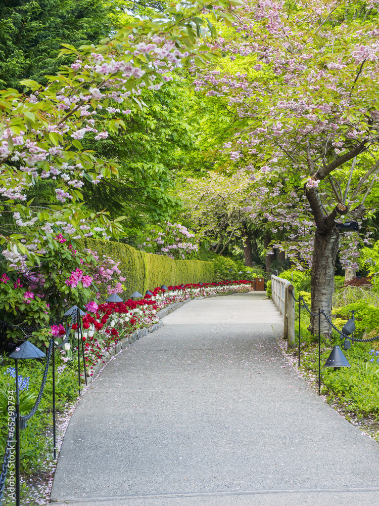 Pathway in a blossoming garden