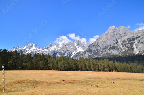 Alpine Mountain Landscape
