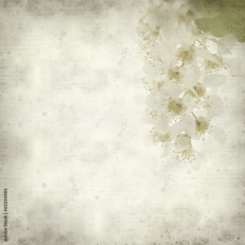 textured old paper background with textured old paper background with