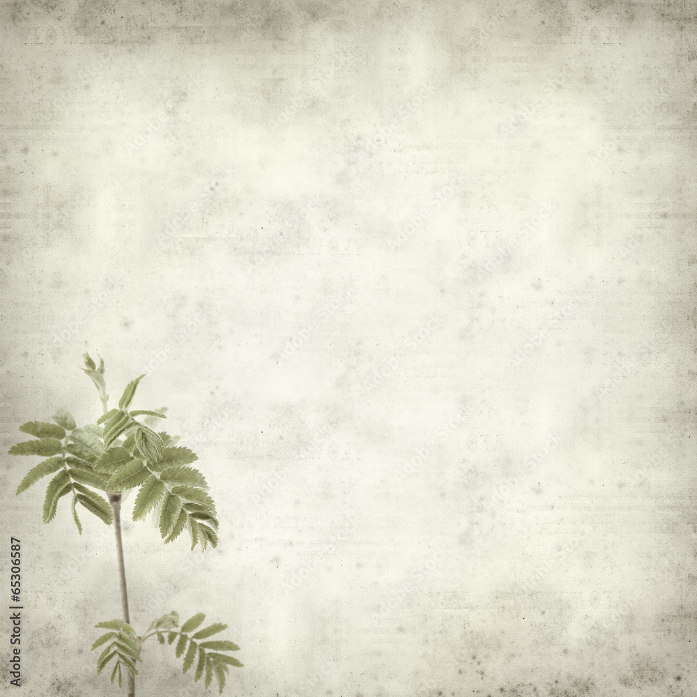 textured old paper background textured old paper background