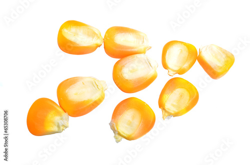 corn seeds closeup isolated on white