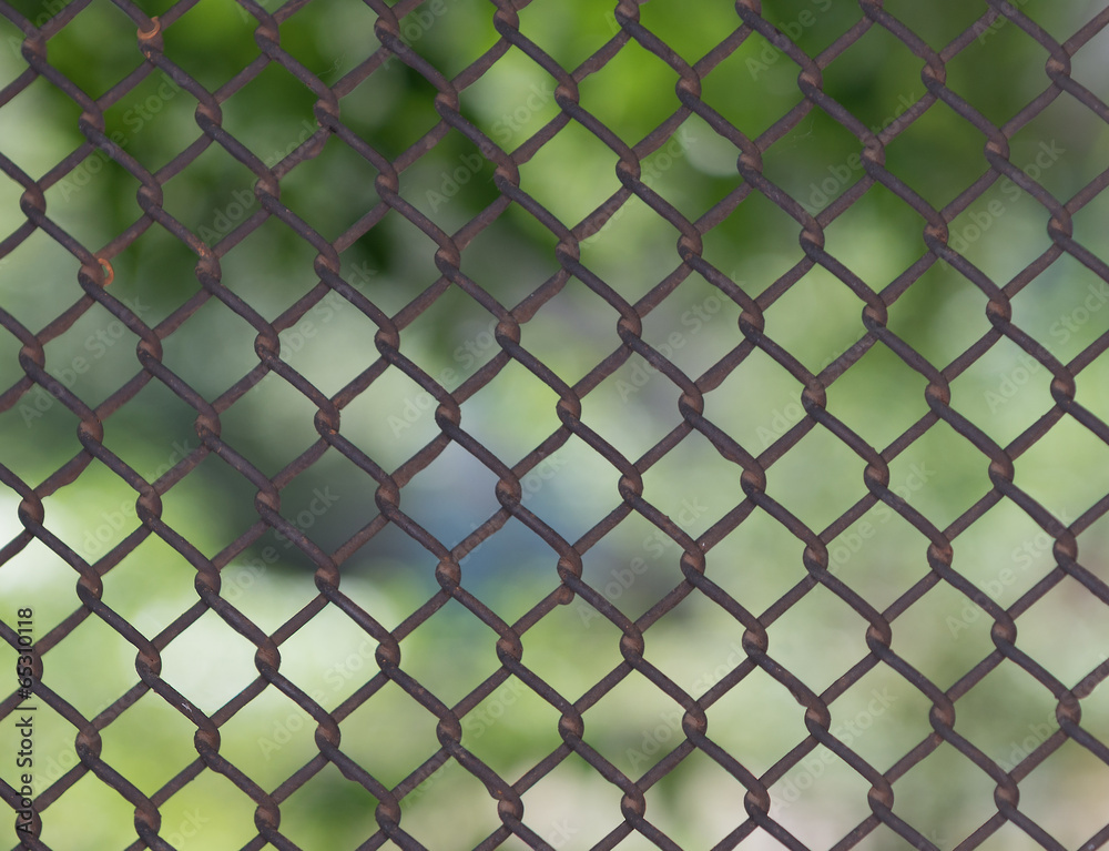 Fence of grid Rabitz against the greens Fence of grid Rabitz against the greens