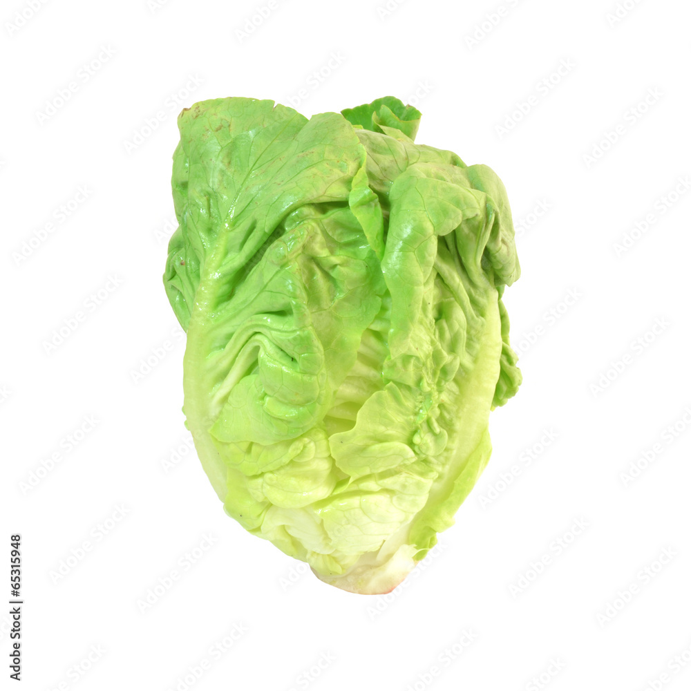 Cos Lettuce on White Background