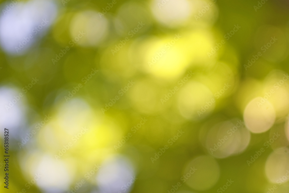 beautiful abstract background image of green vegetable closeup beautiful abstract background image of green vegetable closeup
