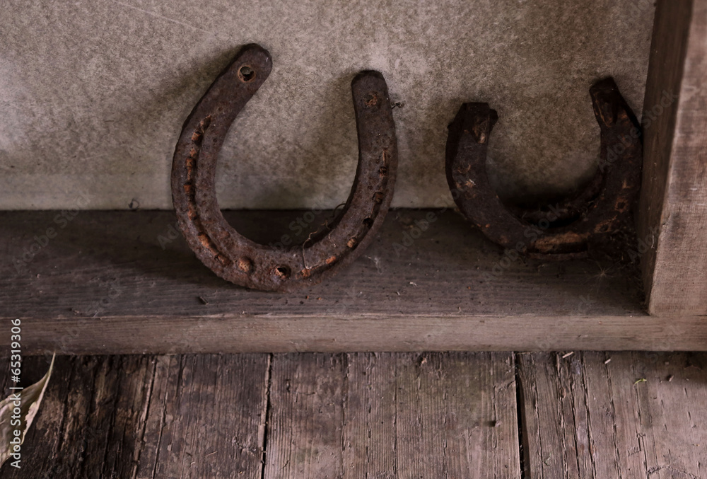 The horseshoes The horseshoes