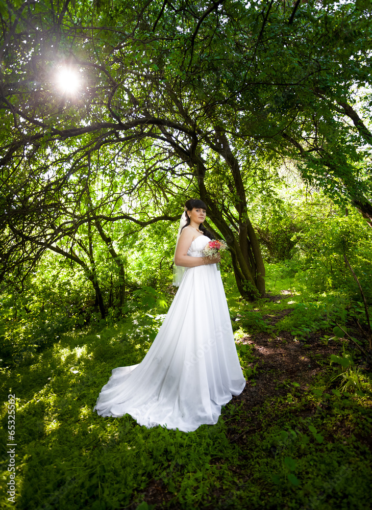 bride in long dress under big trees at old forest bride in long dress under big trees at old forest