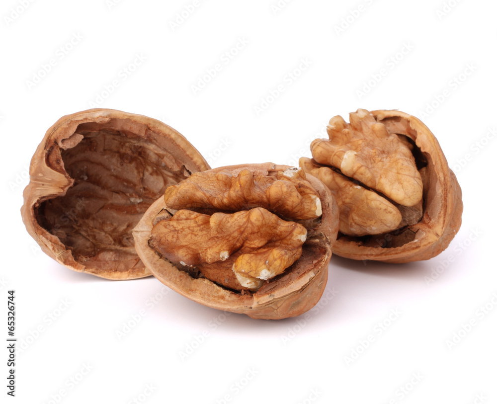 walnut