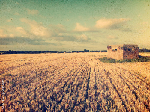 Vintage cornfield image photo