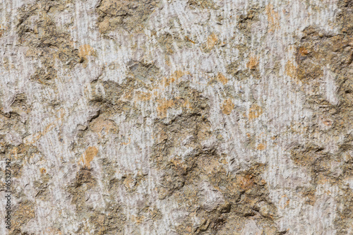 Stone with concrete texture