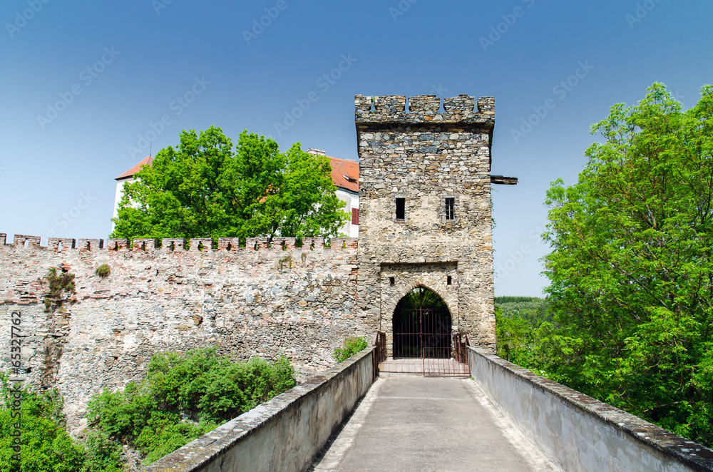 Obraz premium Bitov castle, South Moravia, Czech Republic
