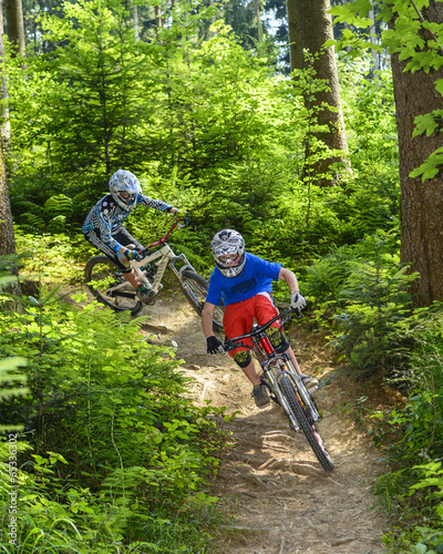 Obraz na płótnie Downhill auf Wald-Trail