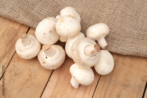 Canvas Print champignons de paris