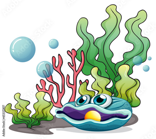 Corals, seaweeds and a clamb under the sea