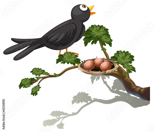 A black bird at the branch of a tree with a nest
