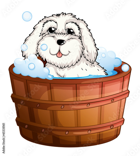 A puppy taking a bath