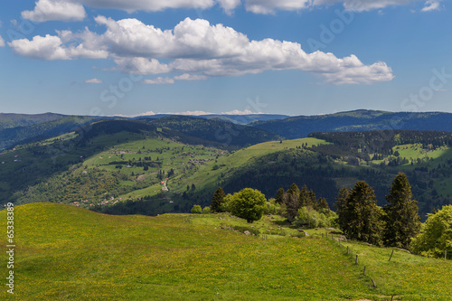 paysage des Vosges
