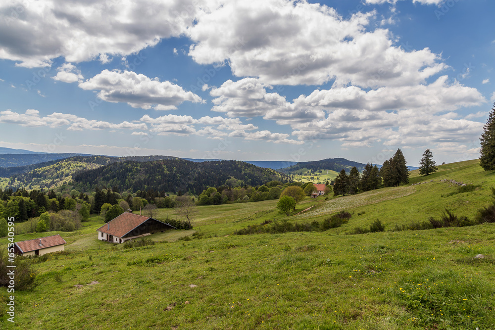 Obraz premium paysage des Vosges