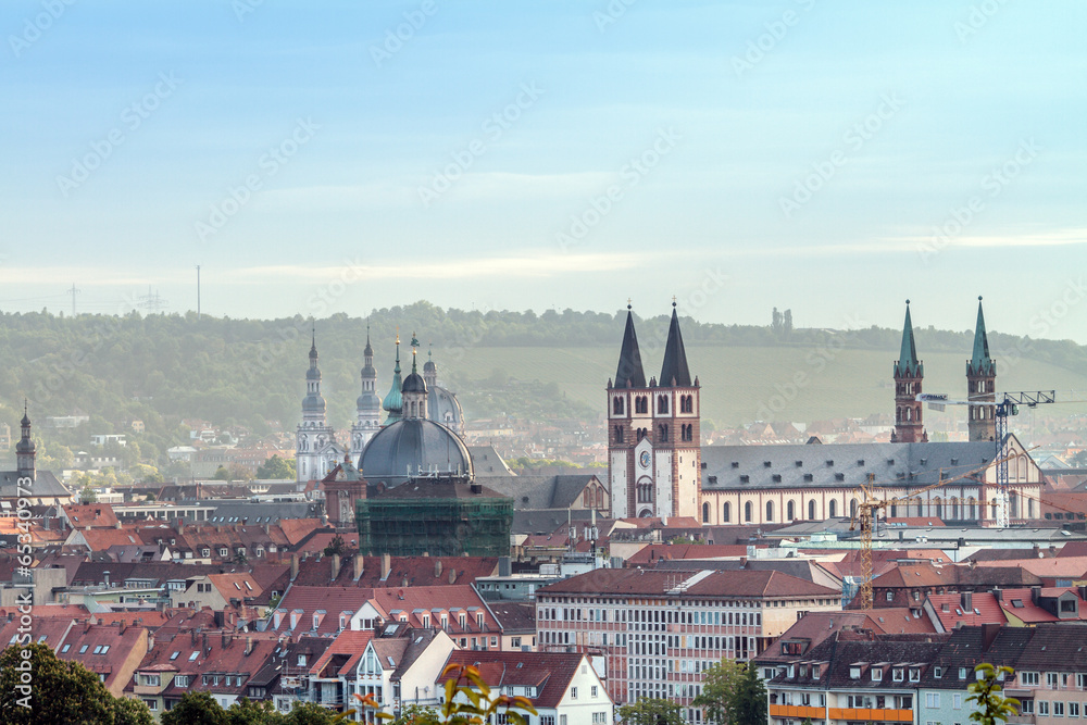 Fototapeta premium Würzburg City Panorama