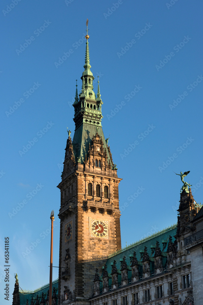 Fototapeta premium townhall hamburg - germany
