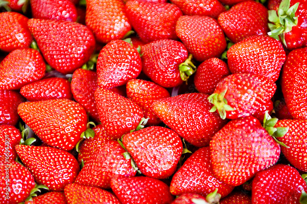 Fragole fresche Fragole fresche