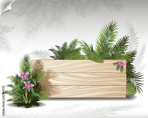 tropical background