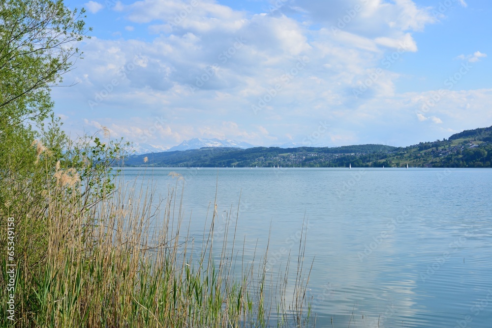 View to Hallwil Lake and the Alps, Switzerland