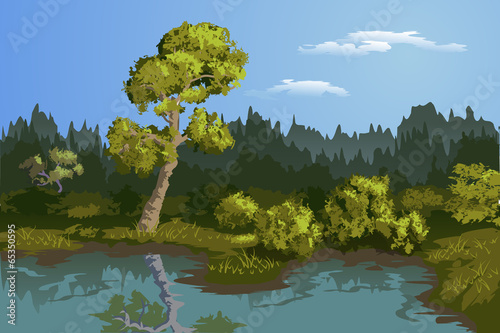 Pond