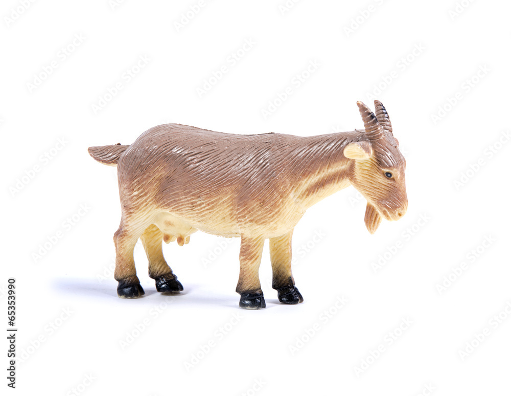 Obraz premium goat toy