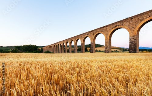 Acueducto near Pamplona photo
