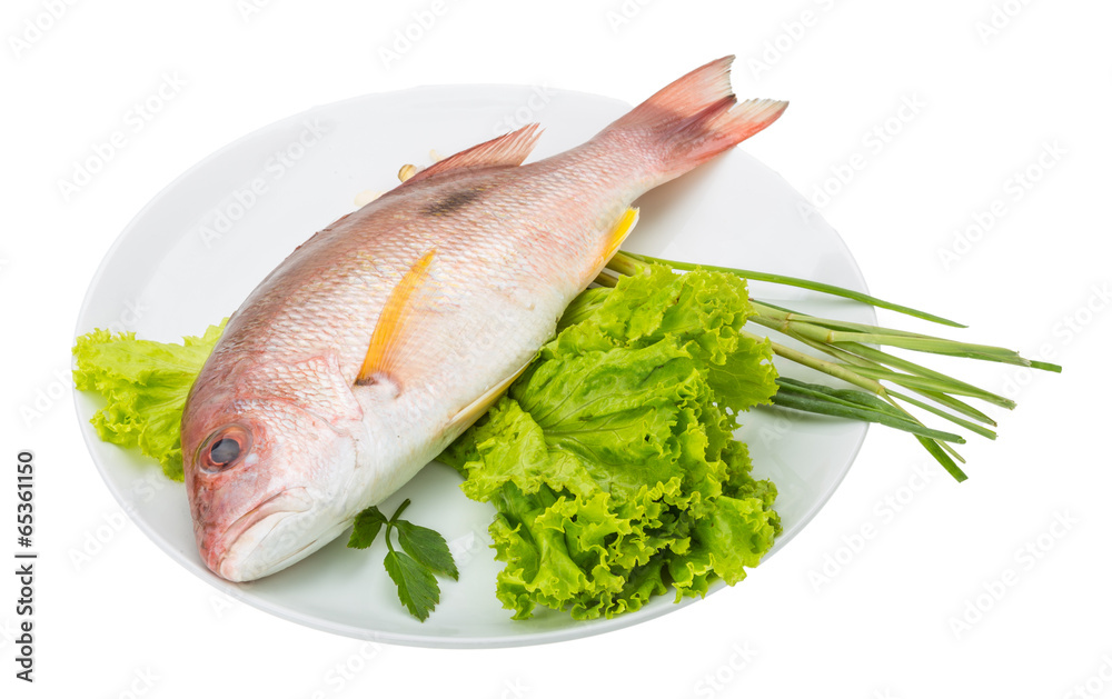 Raw red snapper Raw red snapper