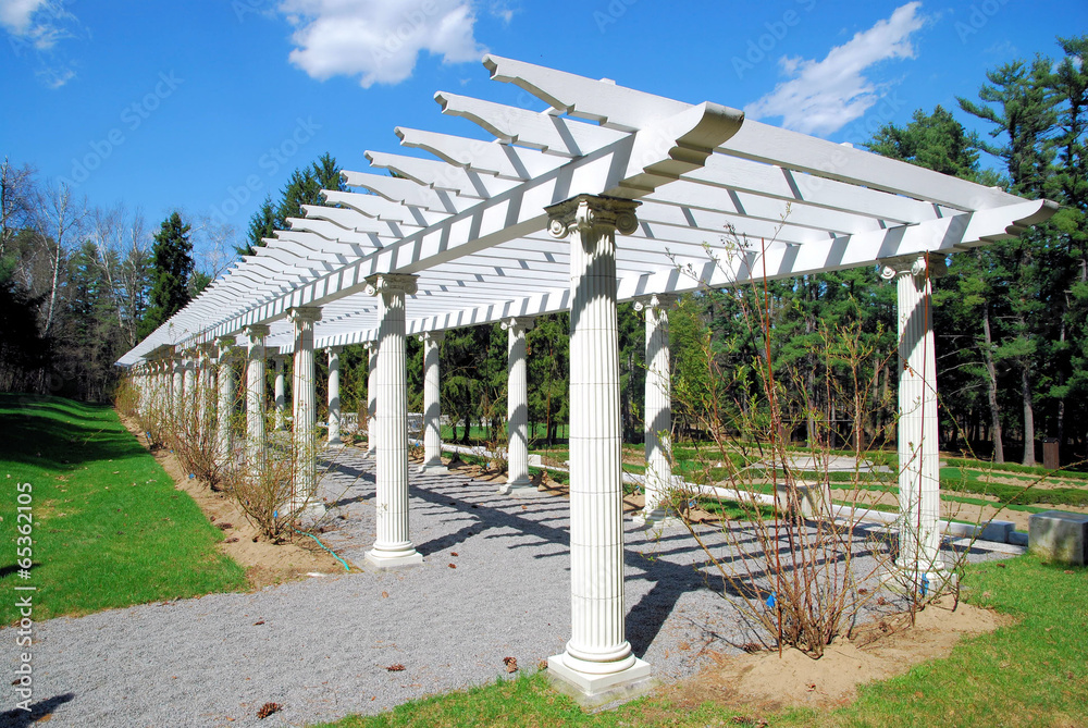Trellis Trellis