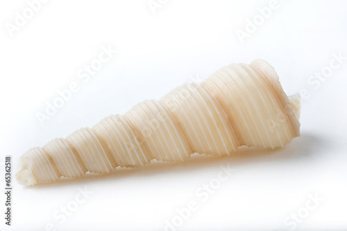 twisted spiral auger shell on white background