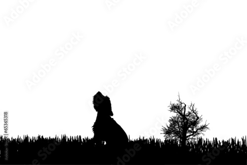 Vector silhouette of a dog.