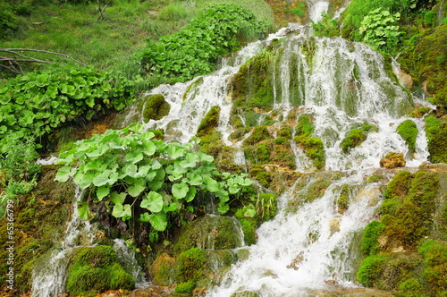 Sopotnica Springs, Serbia photo