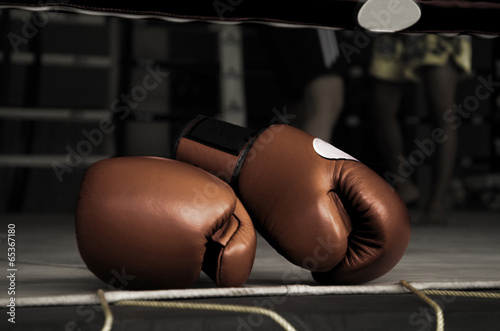 Boxing Glove Vintage